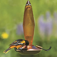 Faceted Oriole Feeder