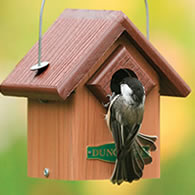 Duncraft Eco-Songbird House