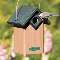 Songbird Eco-Friendly House