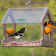 Duncraft Eco-Strong Fruit & Seed Feeder