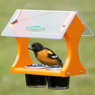 Duncraft Eco-Jelly Oriole Feeder