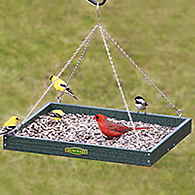Duncraft XL Hanging Platform Bird Feeder