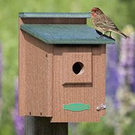 Duncraft Eco-Strong Protected Songbird House