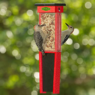 Duncraft Woodpecker Suet Shield Wrap Feeder