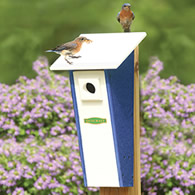 Duncraft Bird-Safe® Peterson Bluebird House