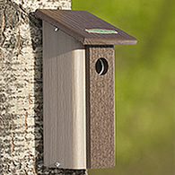 Downy Woodpecker Bird House