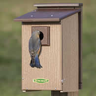 Duncraft Bird-Safe® Premium Observation Bluebird House
