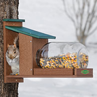 Duncraft Eco Squirrel Jar Feeder
