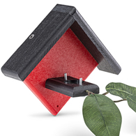 Duncraft Little Red Hummingbird House
