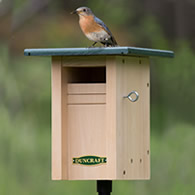 Gilwood Bluebird Slotbox Bird House & Pole