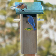 Duncraft Bird-Safe® Slotbox Peterson Bluebird House