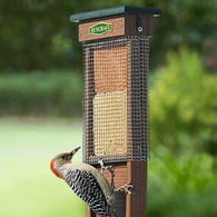 Pileated Woodpecker Suet Shield Wrap Feeder