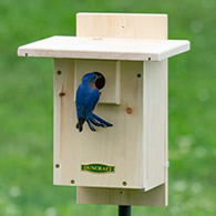 Duncraft Well Vented Bluebird Nestbox Bird House