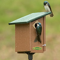 Duncraft Bird-Safe® Classic House & Pole