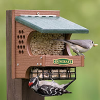 Duncraft Woodpecker Delight Bird Feeder