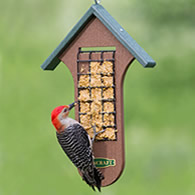 Duncraft Double Sided Woodpecker Feeder
