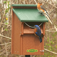 Duncraft Bluebird Swing Guard Bird House