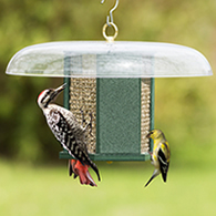 Duncraft Hexagon Woodpecker Feeder