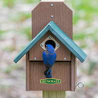 Duncraft Bird-Safe® Out of Reach Bird House