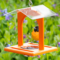 Duncraft Sheltered Oriole Jelly Feeder