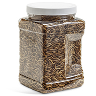 Duncraft Dried Mealworms, 12 oz.