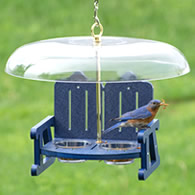 Duncraft Bluebird Sidewalk Cafe Bird Feeder