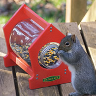 Duncraft Deck Squirrel Jar