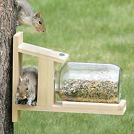Duncraft Squirrel Jar Feeder