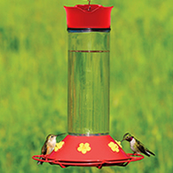 30 Ounce Glass Hummingbird Feeder