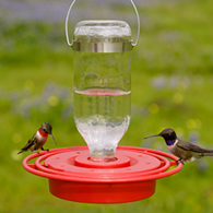 Best-1 Hummingbird Feeder 8 oz.