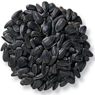 Duncraft Black Oil Sunflower Wild Bird Seed, 5-lb bag