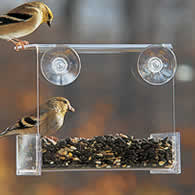 Duncraft Songbird Buffet Window Bird Feeder