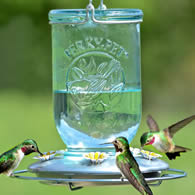 Mason Jar Hummingbird Feeder