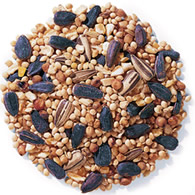 Duncraft Traditional Mix Wild Bird Seed, 5-lb bag