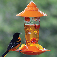 Dots Glass Oriole Feeder