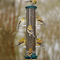 Aspects Spruce Finch Tube Feeder, 2 Sizes to Choose