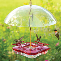 Aspects Square HighView Hummingbird Feeder & Dome