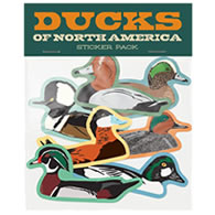 Bird Collective Ducks Sticker Pack
