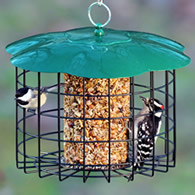 Squirrel Defeater Seed Log Feeder