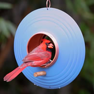 Round Fly-Thru Bird Feeder, 3 Colors to Choose