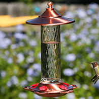 Glory Hummingbird Feeder