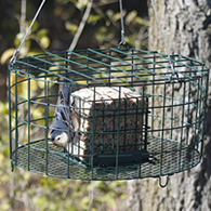 Squirrel Proof Pop Out Suet Cage Feeder
