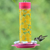 Hummingbird Lemonade Stand Feeder
