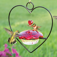 Hummingbird Heart Feeder