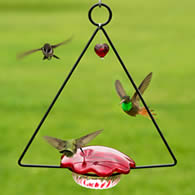 Hummingbird Swing Feeder