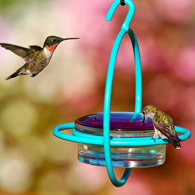 Sphere Hummingbird Feeder, Aqua