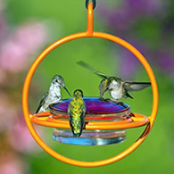 Sphere Hummingbird Feeder, Orange