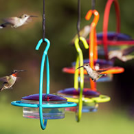 Sphere Hummingbird Feeders, Set of 4