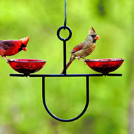 Mosaic Birds Side by Side Poppy Feeder, Red