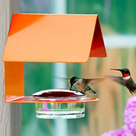The Cottage Hummingbird Feeder Orange